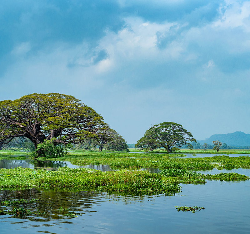 Weerawila-Thissa Sanctuary