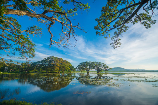 Thissa Lake (Tissamaharama Lake)